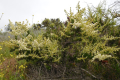 DSCN2312_resize
