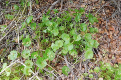 DSCN2317_resize