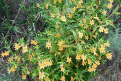 DSCN2321_resize