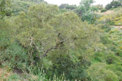 DSCN2322_resize