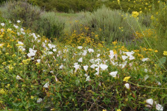 DSCN2330_resize