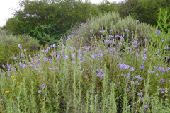 DSCN2335_resize