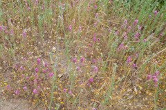 DSCN2337_resize
