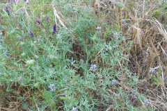 DSCN2341_resize