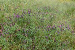 DSCN2342_resize