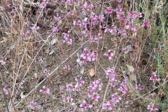 DSCN2343_resize