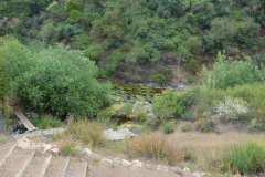 DSCN2346_resize