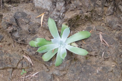 DSCN2347_resize