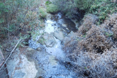 DSCN2764_resize