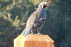 DSCN2769_resize