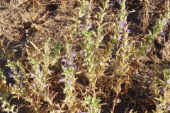 DSCN2773_resize