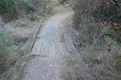 DSCN2783_resize