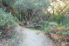 DSCN2791_resize
