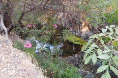 DSCN2795_resize