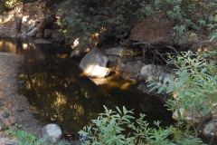 DSCN2796_resize