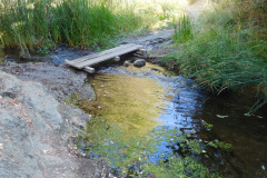 DSCN2799_resize