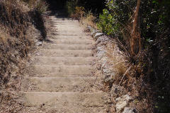 DSCN2801_resize