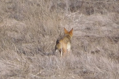 DSCN3376_resize