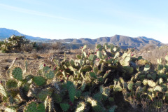 DSCN3380_resize