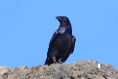 DSCN3386_resize