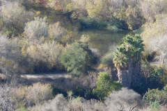 DSCN3389_resize