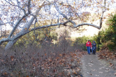 DSCN3395_resize