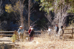 DSCN3408_resize
