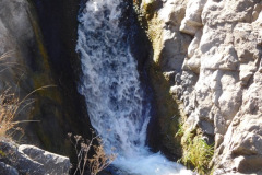 DSCN3411_resize