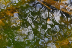 DSCN3413_resize