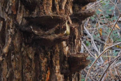 DSCN3416_resize