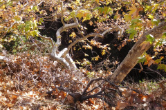 DSCN3418_resize
