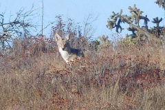 DSCN2644.1_resize