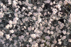 DSCN2646_resize