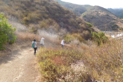 DSCN2650_resize