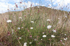 DSCN2651_resize