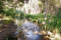 DSCN2653_resize