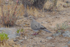 DSCN4214_resize