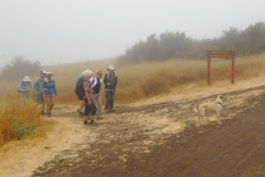 DSCN4217_resize