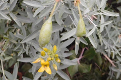 DSCN4225_resize