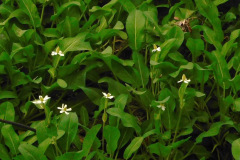 DSCN4232_resize