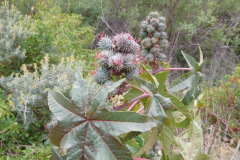 DSCN4233_resize