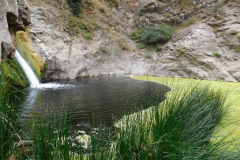 DSCN4239_resize