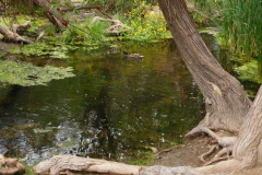 DSCN4240_resize