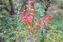 DSCN4249_resize