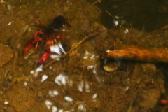 DSCN4250_resize