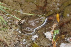DSCN4251_resize