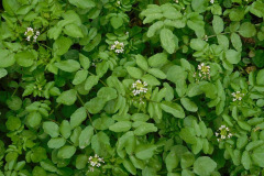 DSCN4255_resize