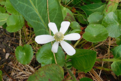 DSCN4256_resize