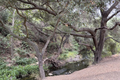 IMG_3325_resize
