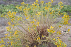 DSCN3151_resize